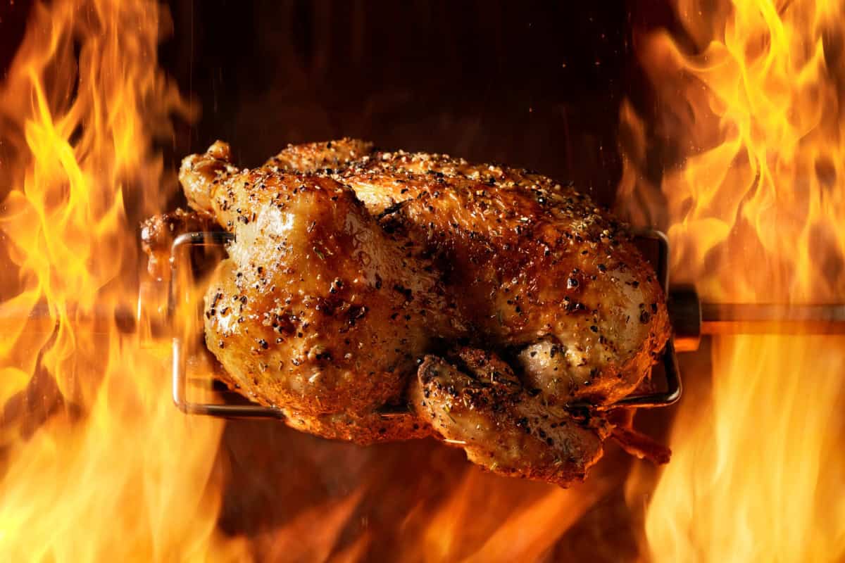 Chicken